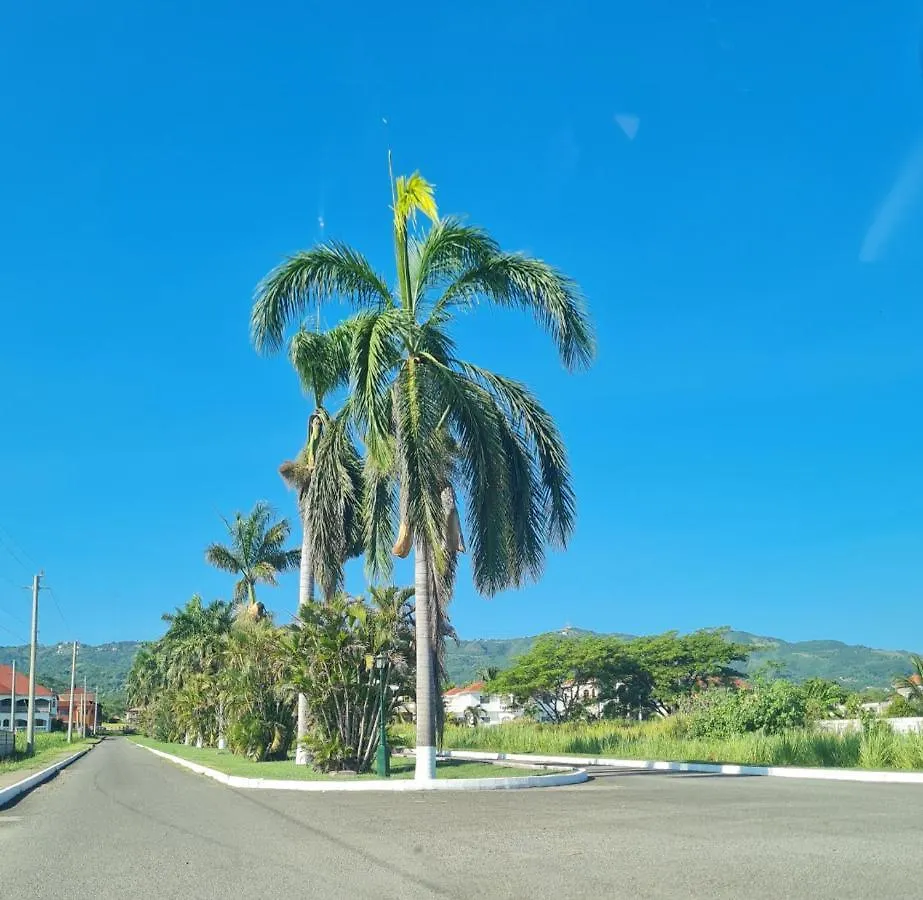 Tropical Paradise Retreat In St Ann'S Прайори Ямайка