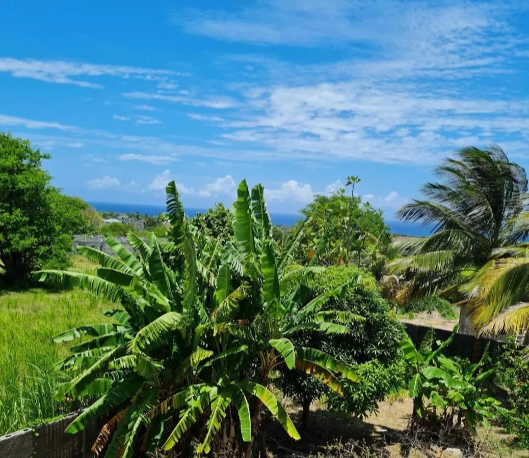 Tropical Paradise Retreat In St Ann'S Прайори 0*,