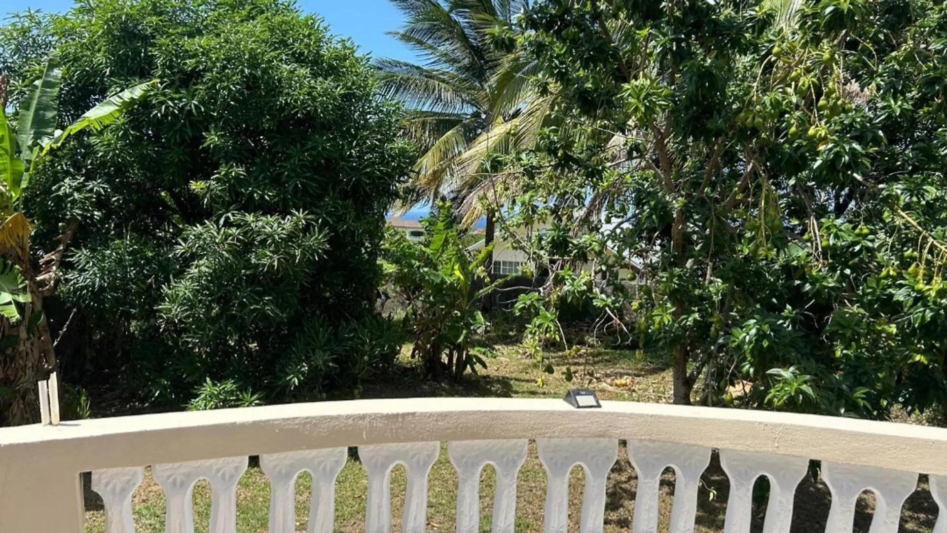 Tropical Paradise Retreat In St Ann'S Priory 別荘